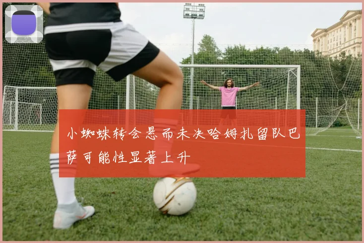小蜘蛛转会悬而未决哈姆扎留队巴萨可能性显著上升