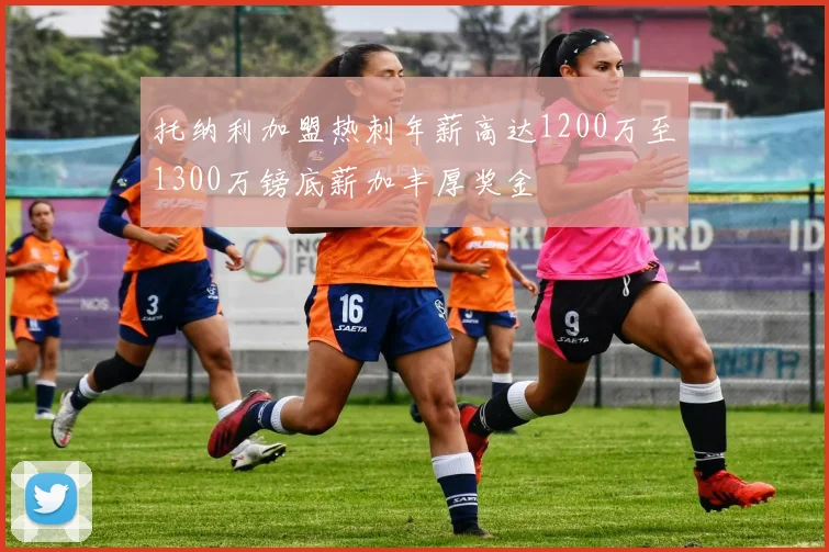 托纳利加盟热刺年薪高达1200万至1300万镑底薪加丰厚奖金